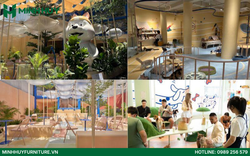 Mẫu thiết kế quán cafe thú cưng đẹp