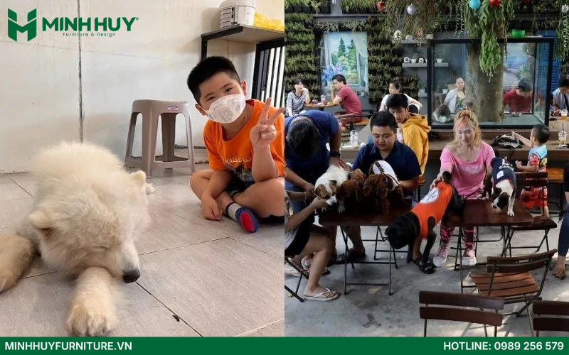 thiết kế quán cafe thú cưng đẹp