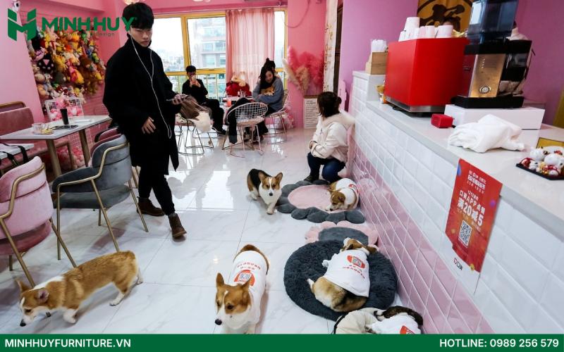 Thiết kế và thi công nội thất quán cafe thú cưng