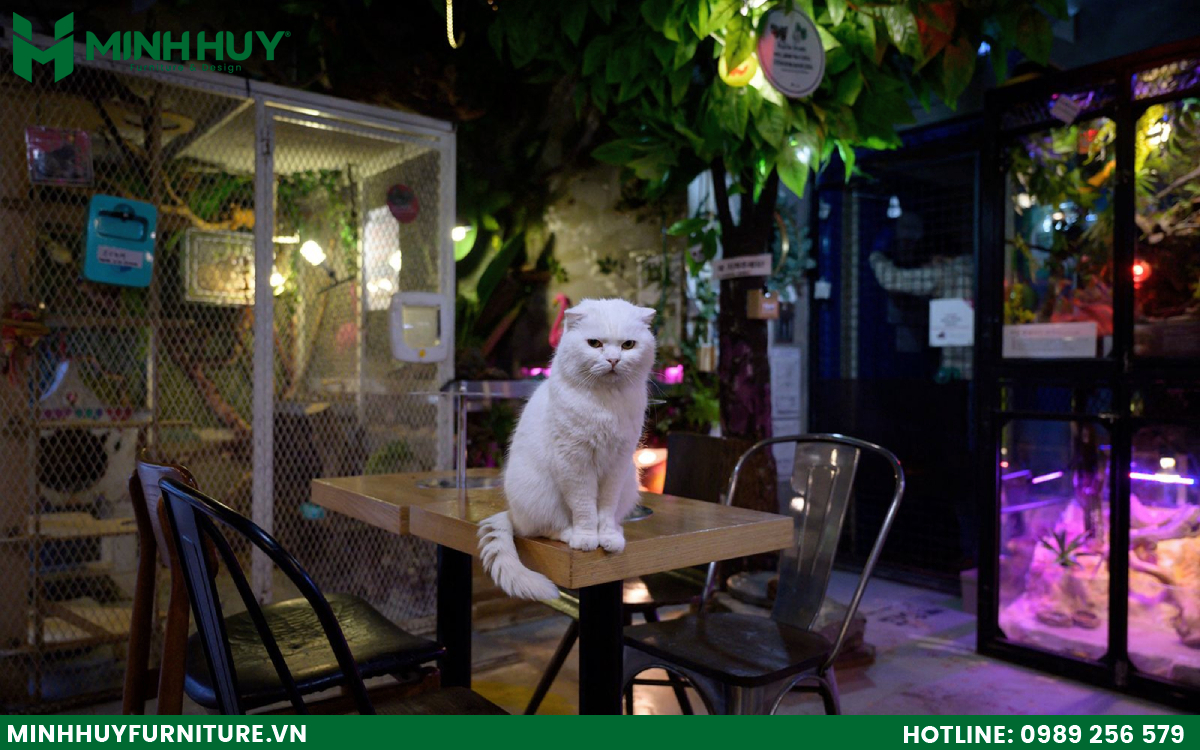 Thiết kế và thi công nội thất quán cafe thú cưng