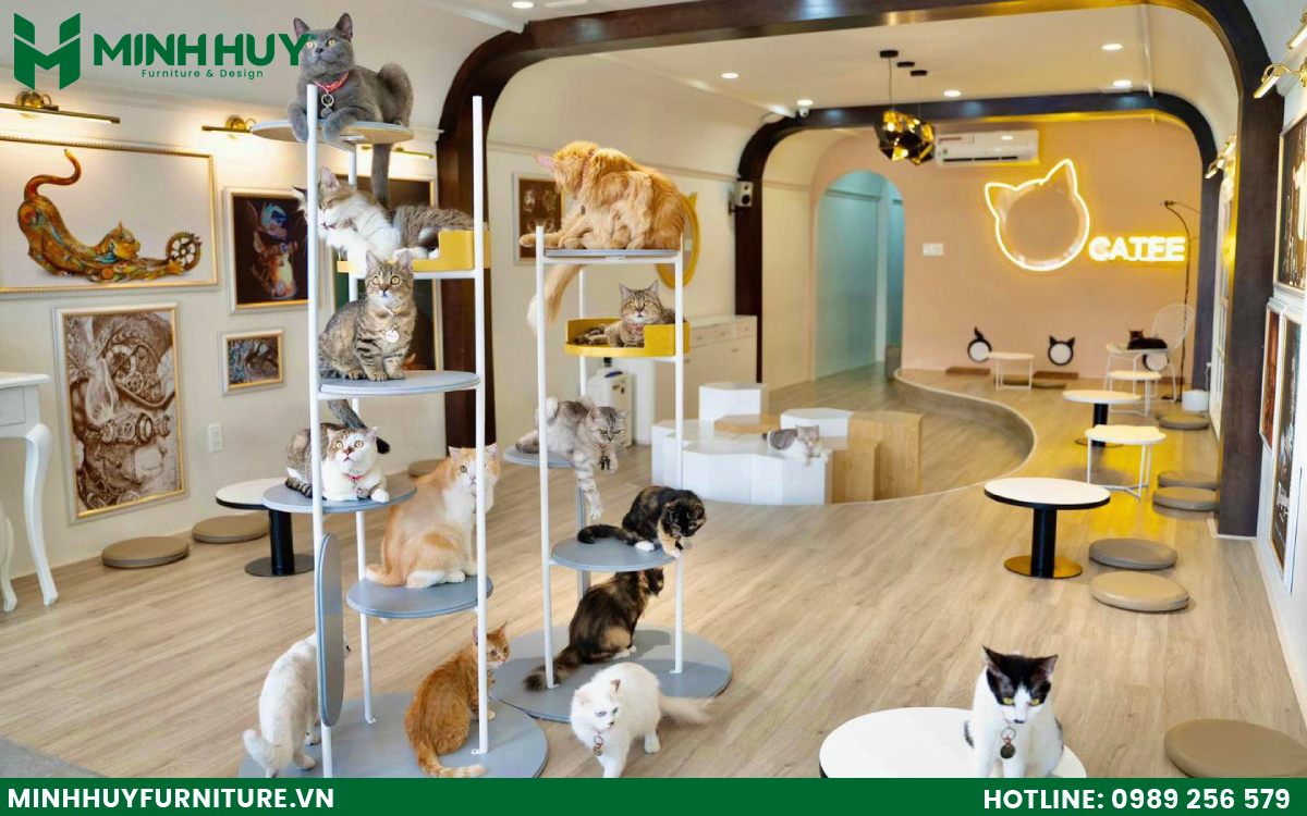 Thiết kế và thi công nội thất quán cafe thú cưng