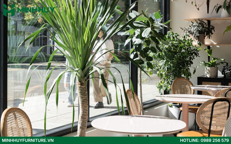 mẫu thiết kế quán cafe phong cách tối giản đẹp