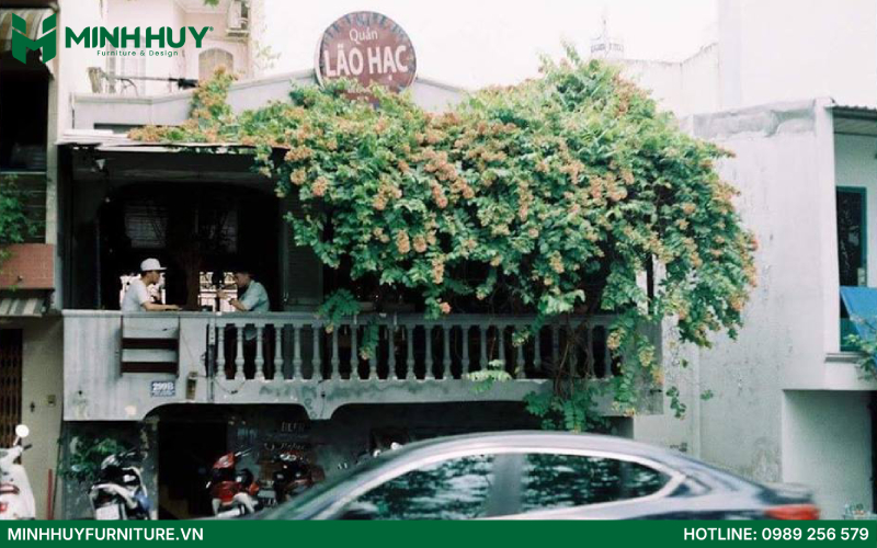 Lão Hạc – Beer & Cafe