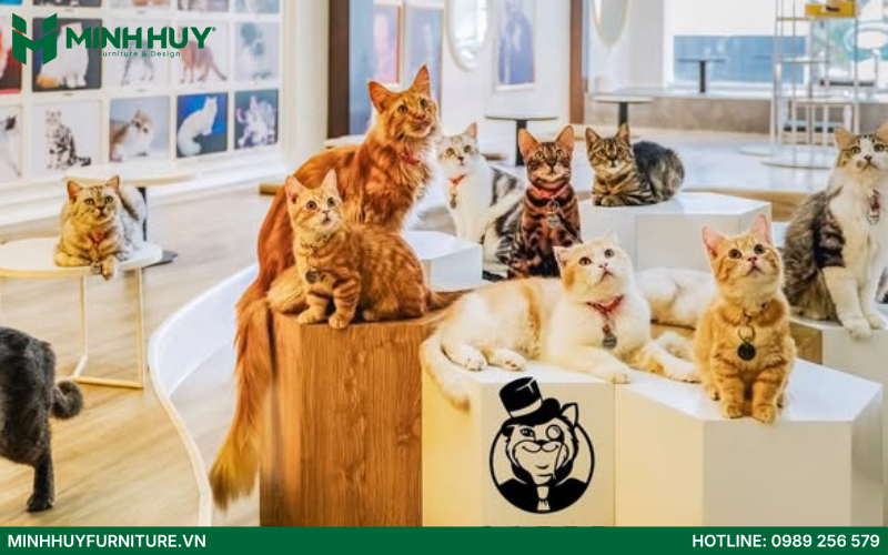 Catfe Coffee