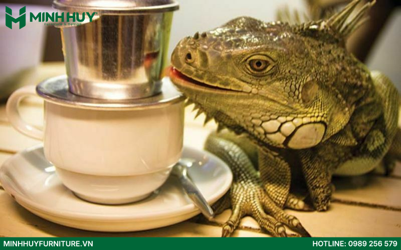 Babo Coffee