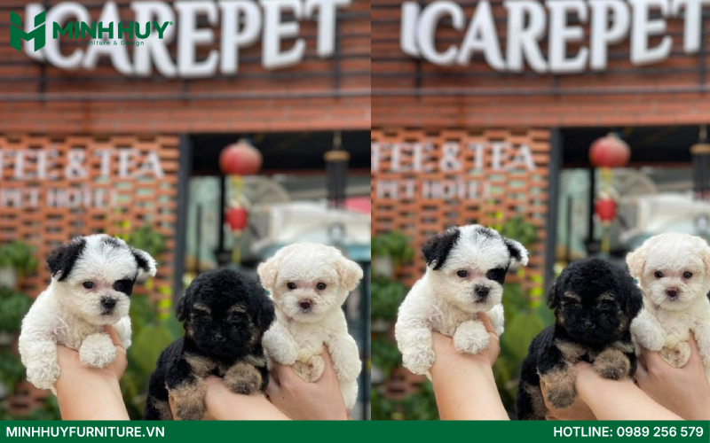 I Care Pet Coffee & Tea