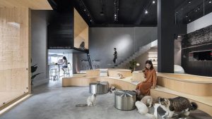Mẫu thiết kế quán cafe thú cưng đẹp