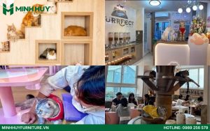 Thiết kế và thi công nội thất quán cafe thú cưng