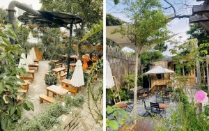 Quán cafe sân vườn